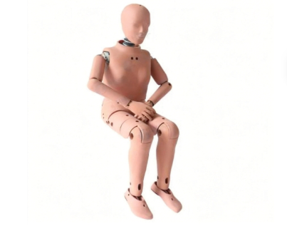 5th Percentile Female Crash Test Dummy