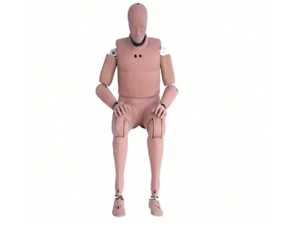 95th Percentile Male Crash Test Dummy