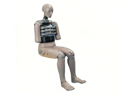 Male Side Impact Dummy (RE Type)