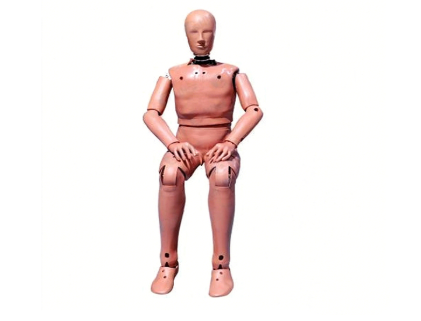 50th Percentile FAA Crash Test Dummy